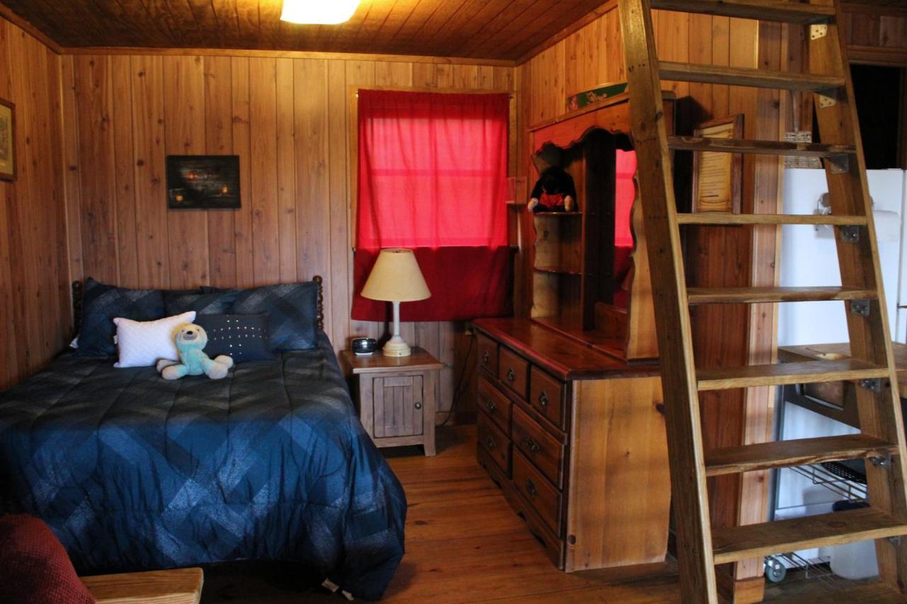 לינה וארוחת בוקר Isabel Berry Creek Cabins מראה חיצוני תמונה