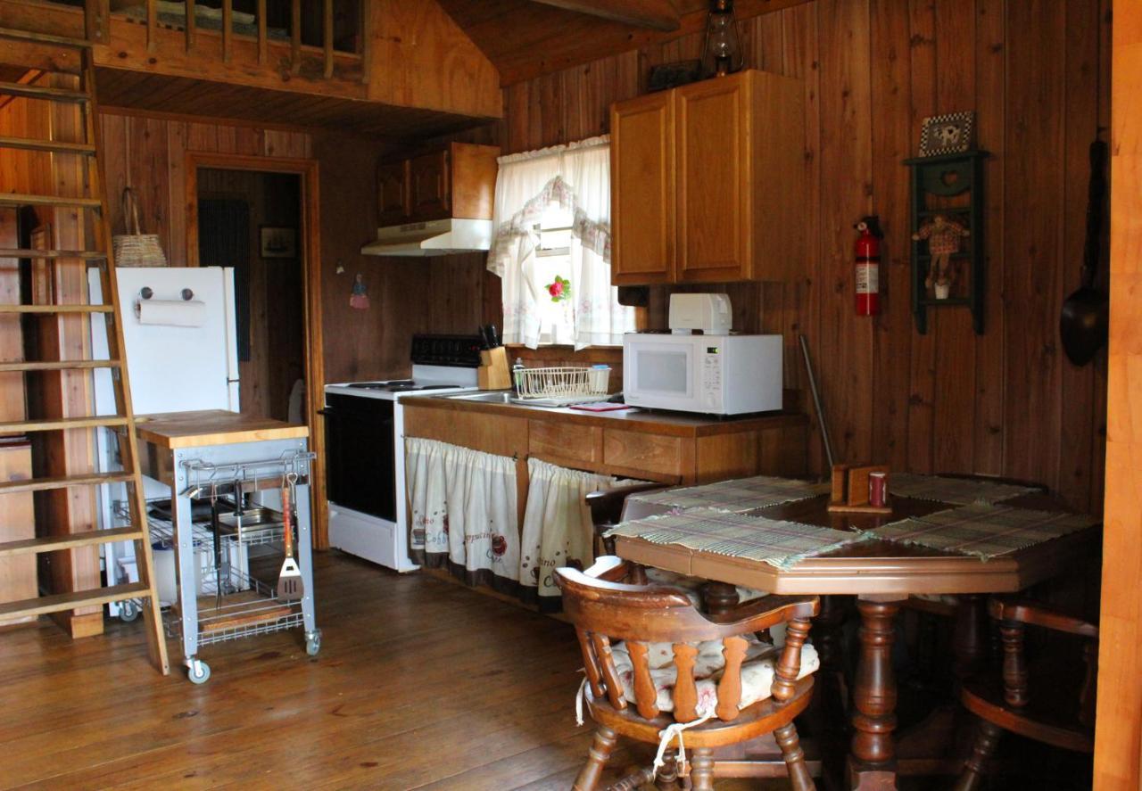 לינה וארוחת בוקר Isabel Berry Creek Cabins מראה חיצוני תמונה