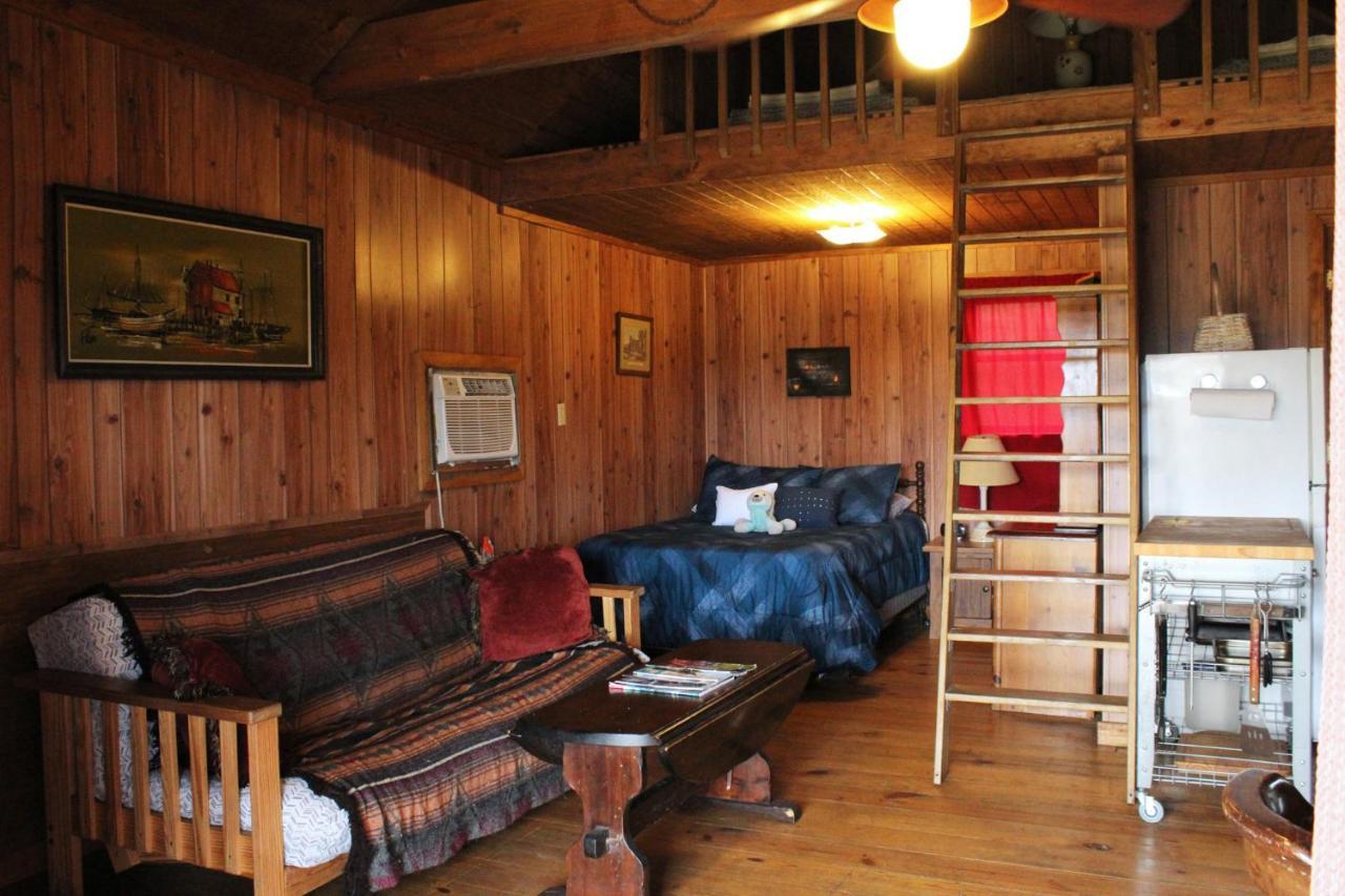 לינה וארוחת בוקר Isabel Berry Creek Cabins מראה חיצוני תמונה