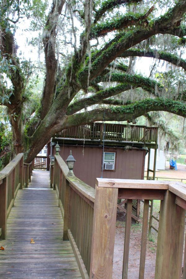 לינה וארוחת בוקר Isabel Berry Creek Cabins מראה חיצוני תמונה